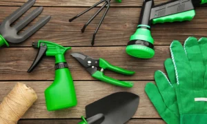 As principais ferramentas de jardinagem