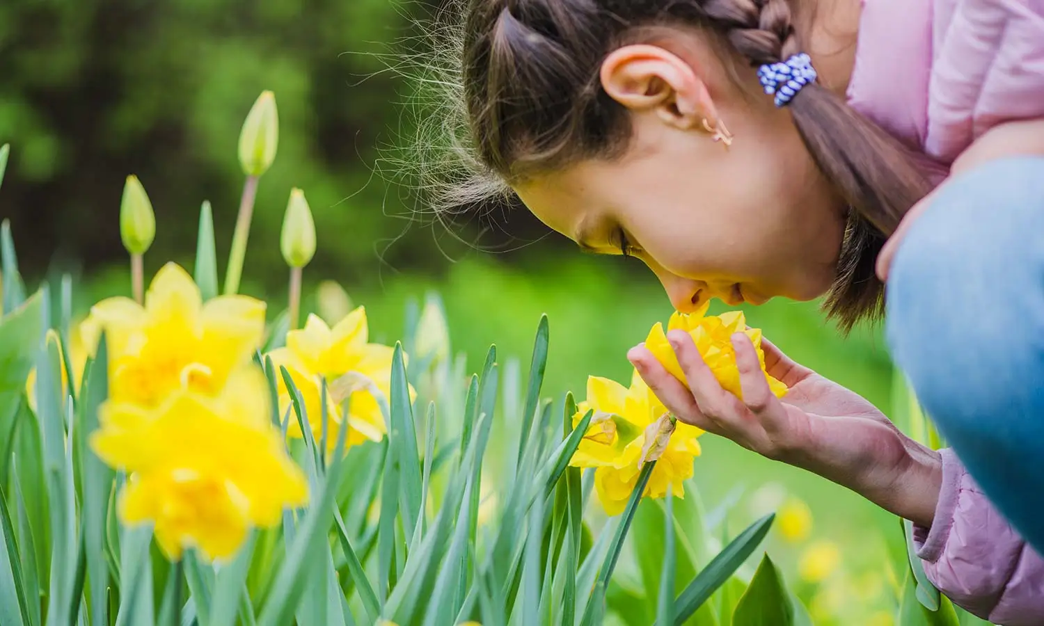 O que é um jardim sensorial