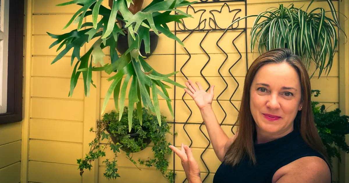 17 plantas para vasos de parede