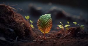 A Fascinante jornada das plantas: origem e evolução
