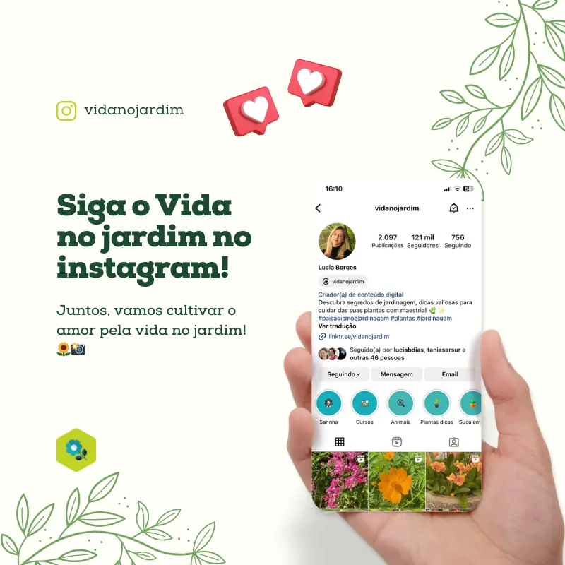 Siga o Instagram da Vida no Jardim