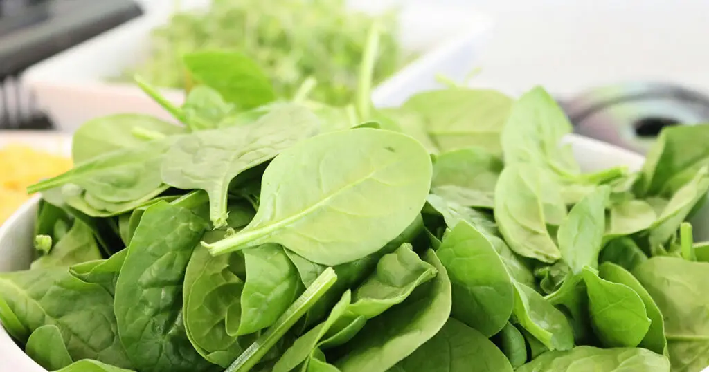 Horta em pequenos espaços