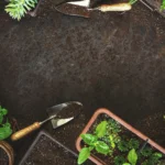 Jardinagem: Da Teoria à Prática