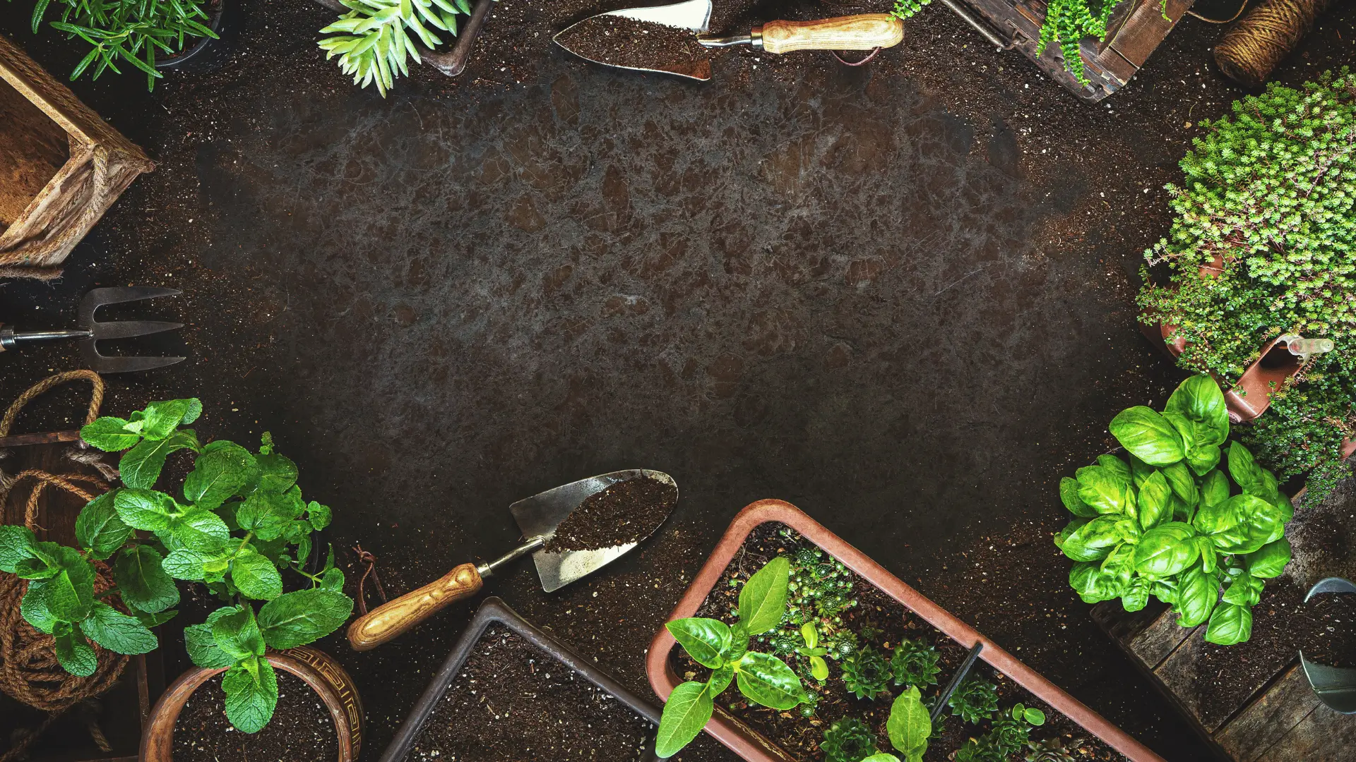 Jardinagem: Da Teoria à Prática